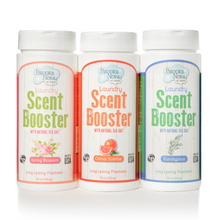 Load image into Gallery viewer, Laundry Scent Booster